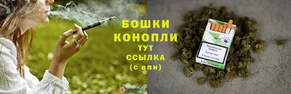 твердый Кодинск