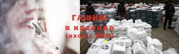прущие грибы Козельск