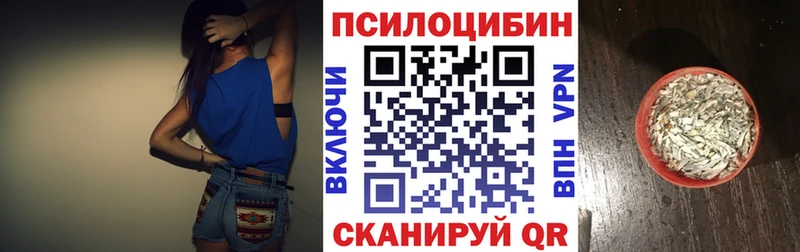 Купить где  Кочубеевское  Галлюциногенные грибы прущие грибы 